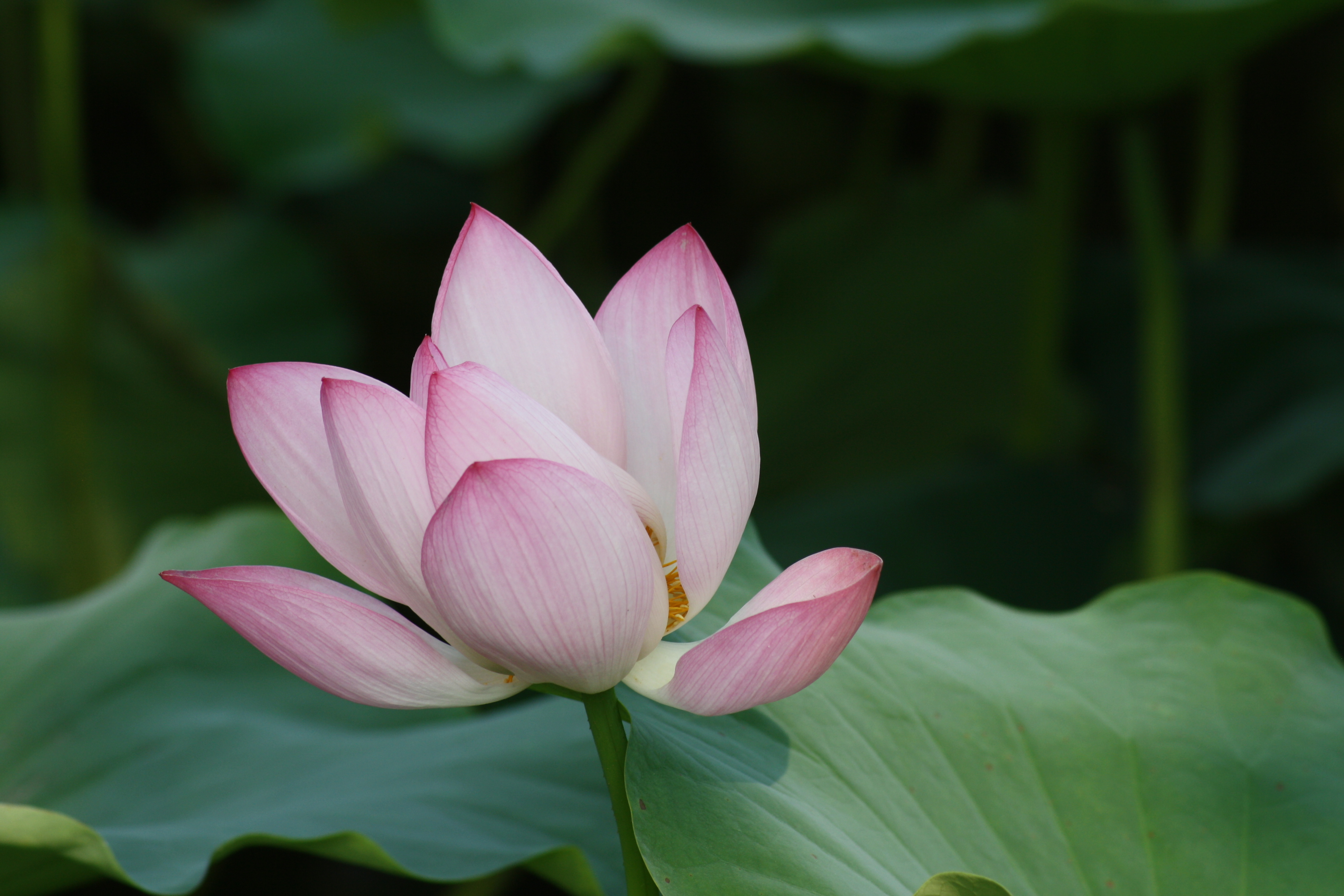 你帮别人干活说辛苦了你该怎么回,工作失误被同龄同事指责