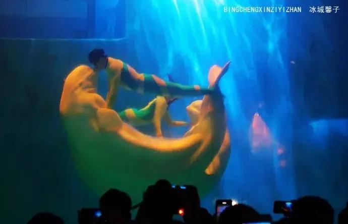 哈尔滨极地公园极地馆时间,哈尔滨极地公园和极地馆区别