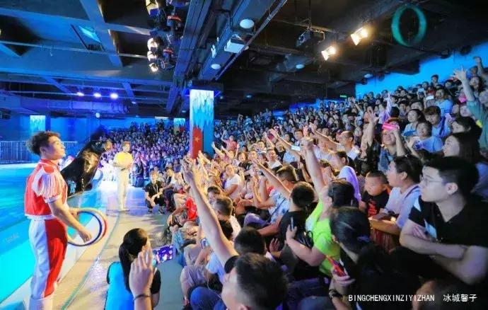 哈尔滨极地公园极地馆时间,哈尔滨极地公园和极地馆区别