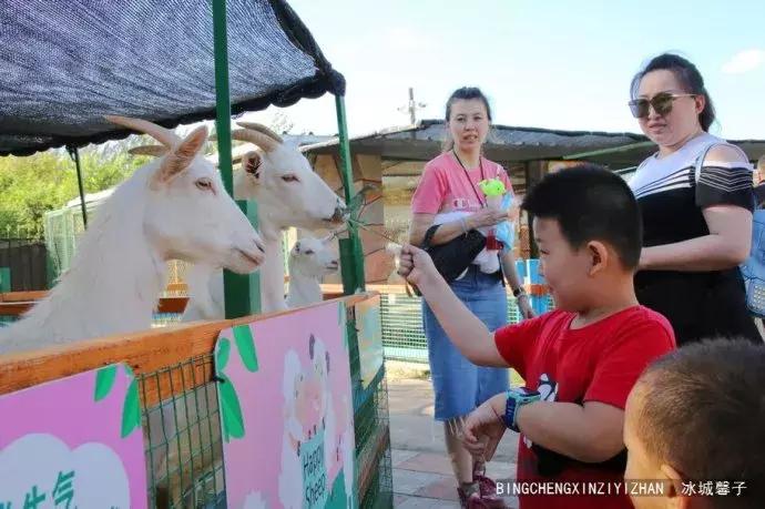 哈尔滨极地公园极地馆时间,哈尔滨极地公园和极地馆区别