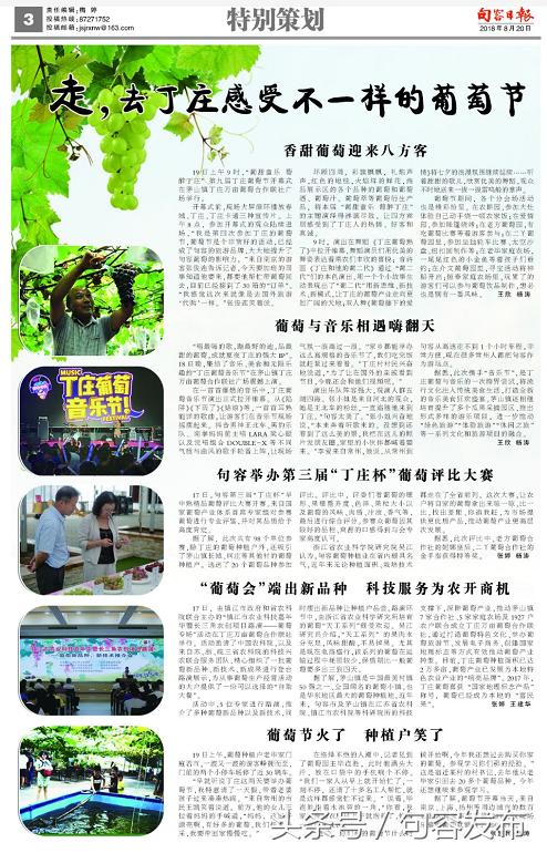 丁家庄葡萄节,2022丁庄葡萄节时间