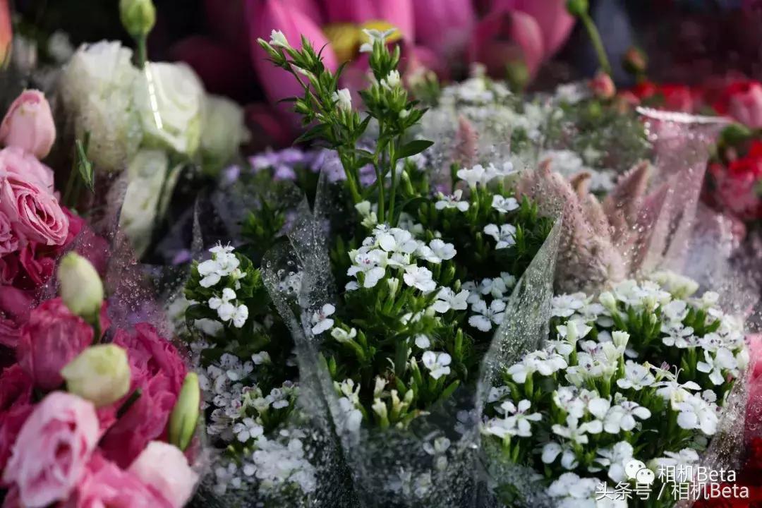 佳能ef70-200mmf4和2.8不防抖,佳能ef70-200f4is参数