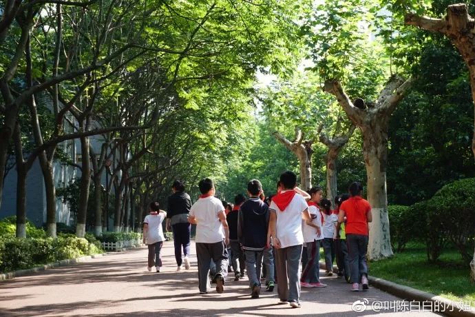 金陵中学河西分校和河西金陵中学,金陵中学河西分校是民办还是公办