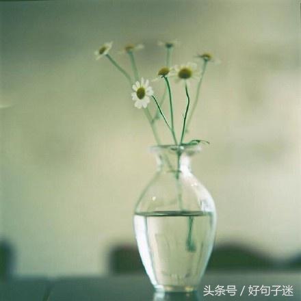 适合做心情签名的说说太走心了,适合发个性签名的句子