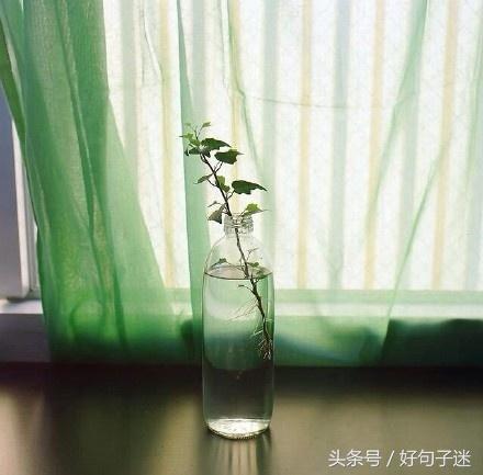 适合做心情签名的说说太走心了,适合发个性签名的句子