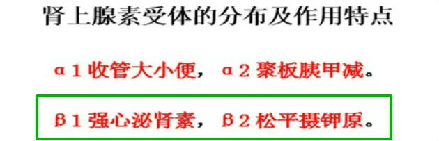 讲的好，记得牢！这可能是我见过最高效的“药理学”学习法啦！