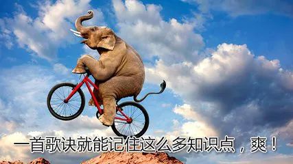 讲的好，记得牢！这可能是我见过最高效的“药理学”学习法啦！