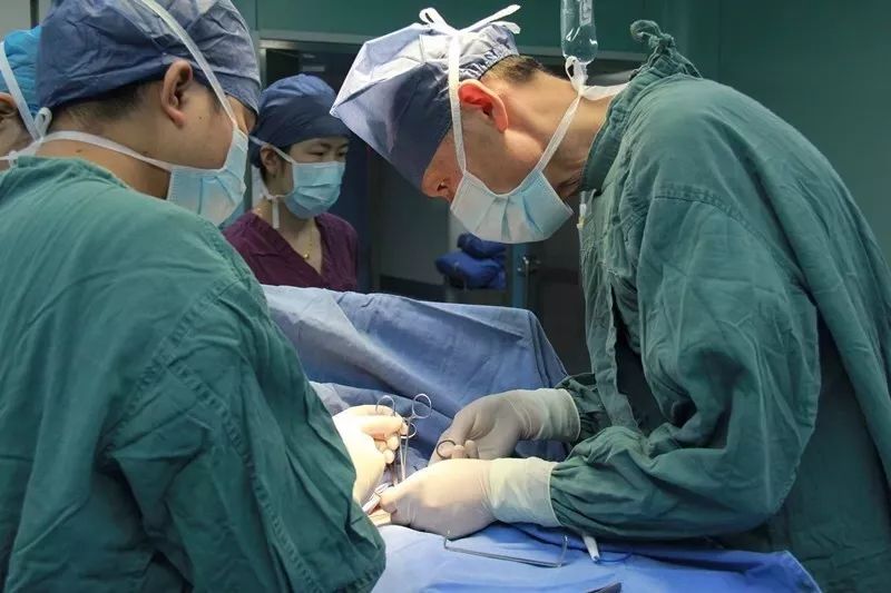 浙大儿院舒强教授、龚方戚教授名医团队工作室落户长兴！