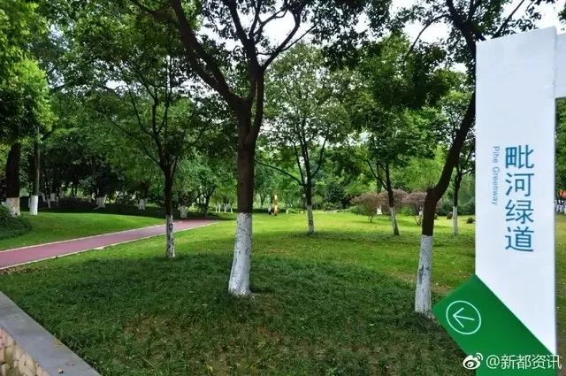 去天府绿道怎么走,去天府绿道需要做什么准备