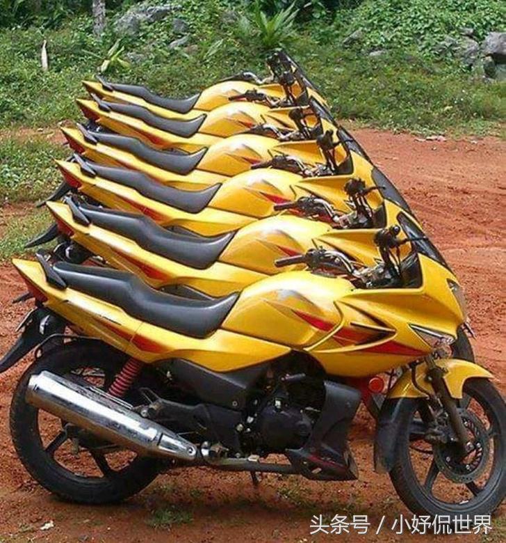 强迫症看了很舒服的100张图,密集强迫症照片