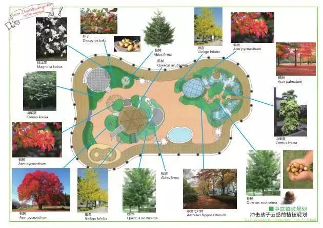 潍坊文华幼儿园收费标准,潍坊京宝幼儿园收费标准