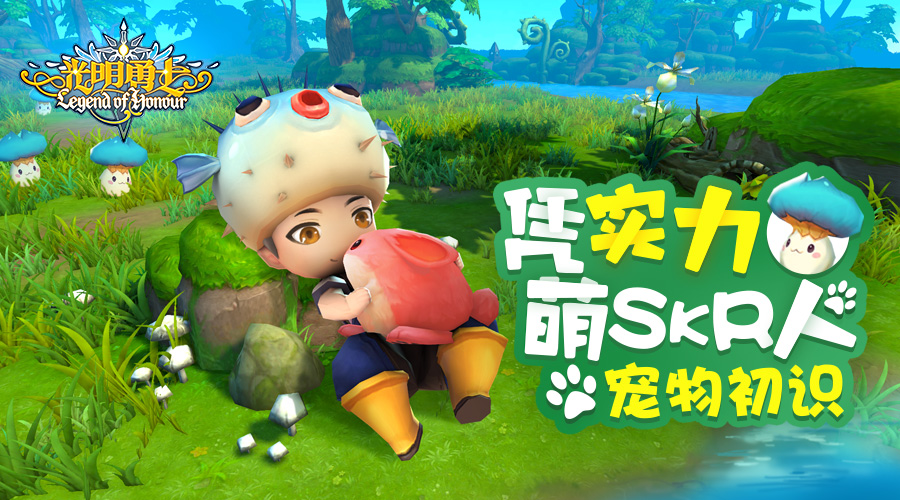 光明勇士宠物技能,光明勇士金色宠物排名