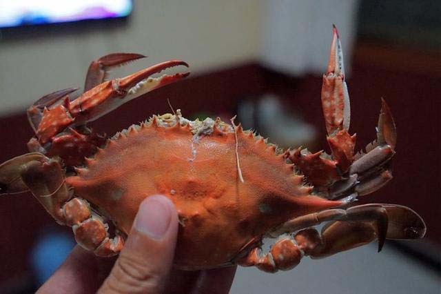 日照旅游攻略探索日照从这里开始 (日照旅游去哪玩这份攻略值得参考)