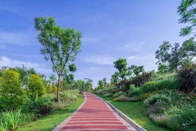 重庆免门票周边游地方推荐,重庆周边免门票公园