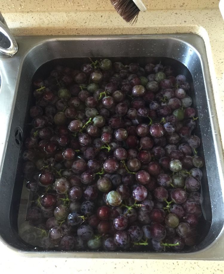 自酿葡萄酒怎么判断葡萄酒坏掉了,葡萄酒怎么酿家庭版