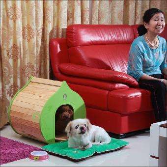 狗狗生病不吃不喝喂什么补充营养,泰迪狗狗生病的各种症状以及疗法