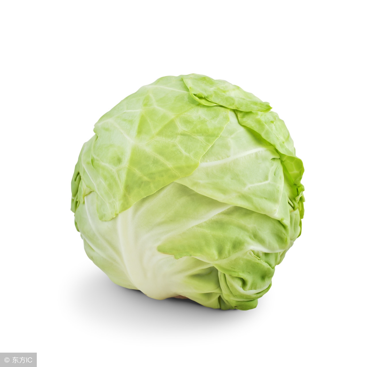 猕猴桃能加快胃消化吗 (消化不良吃猕猴桃管用吗)