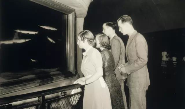 见到这只鱼大伙都要喊它爷爷,结局竟被安乐死,人们却表示赞同