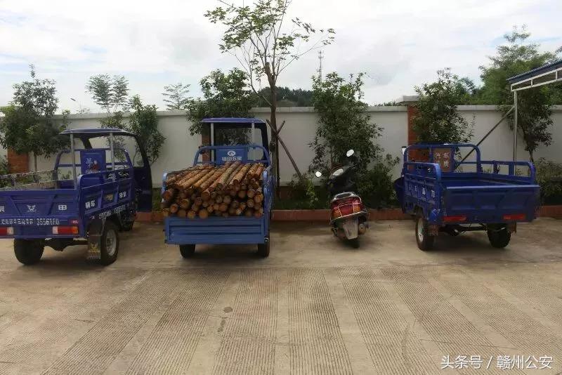 盗窃林木连环案,4人结伙作案5次盗窃木材16吨