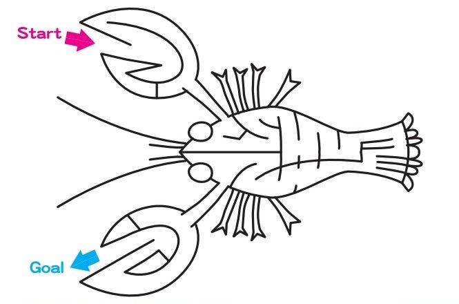 让孩子学习用什么打印机,如何让孩子抓紧时间学习