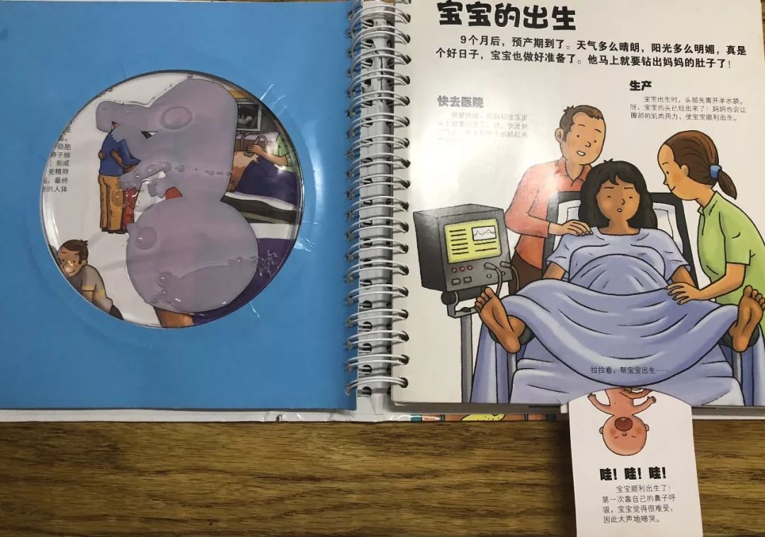 0-6岁爆款书单,分龄性教育书单推荐