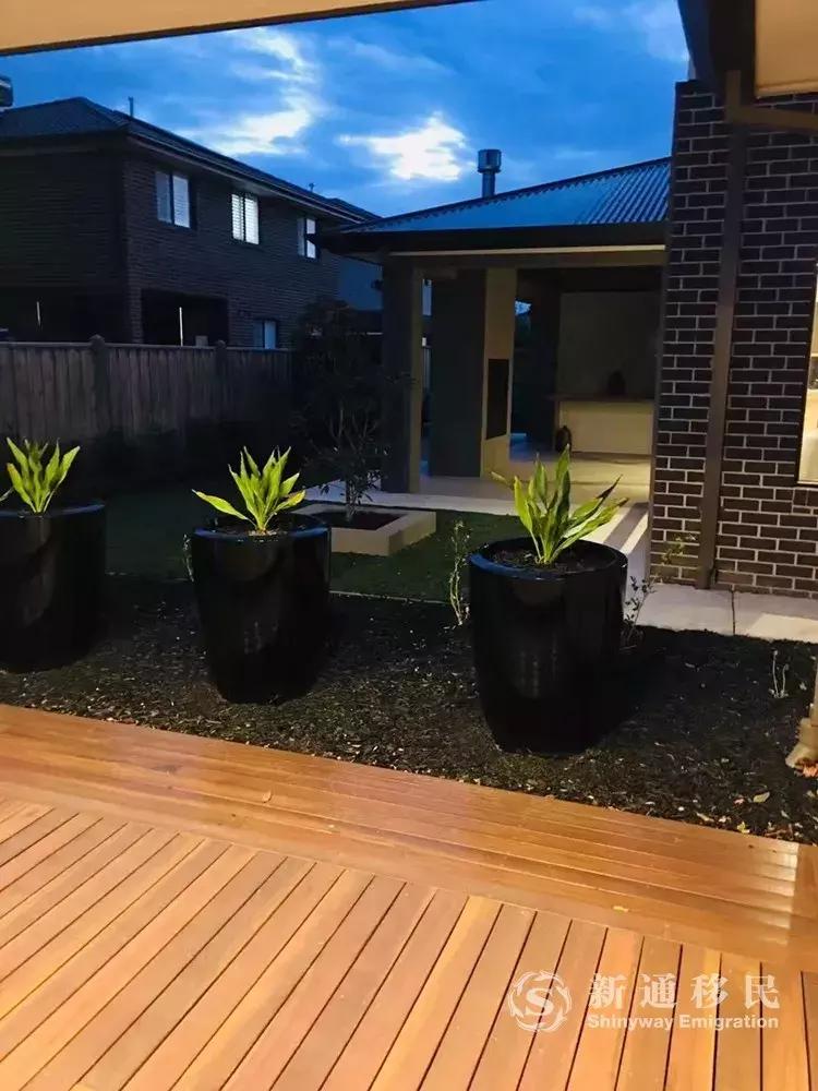 移民后的真实故事,移民后的经历