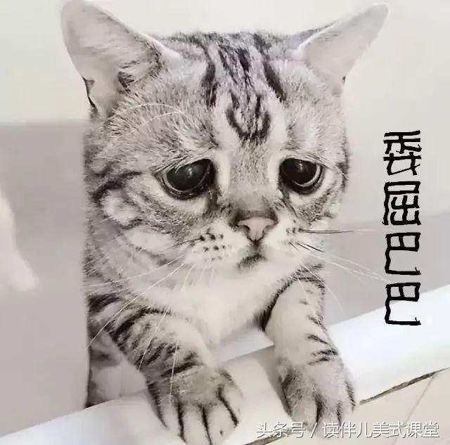 老外说英语是全球最简单的语言！为什么我们花了10年都学不好？