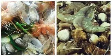 长春吃海鲜的地方排行榜,长春24小时自助吃海鲜的好地方