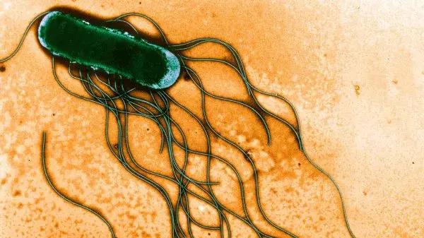 国外受疫情影响进口奶粉还安全吗,国外有疫情进口奶粉还能买吗