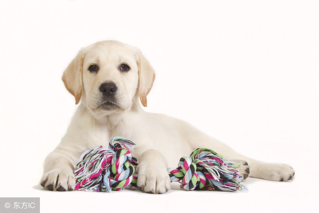 看透人生经典语录说说,看透人生经典语录高中