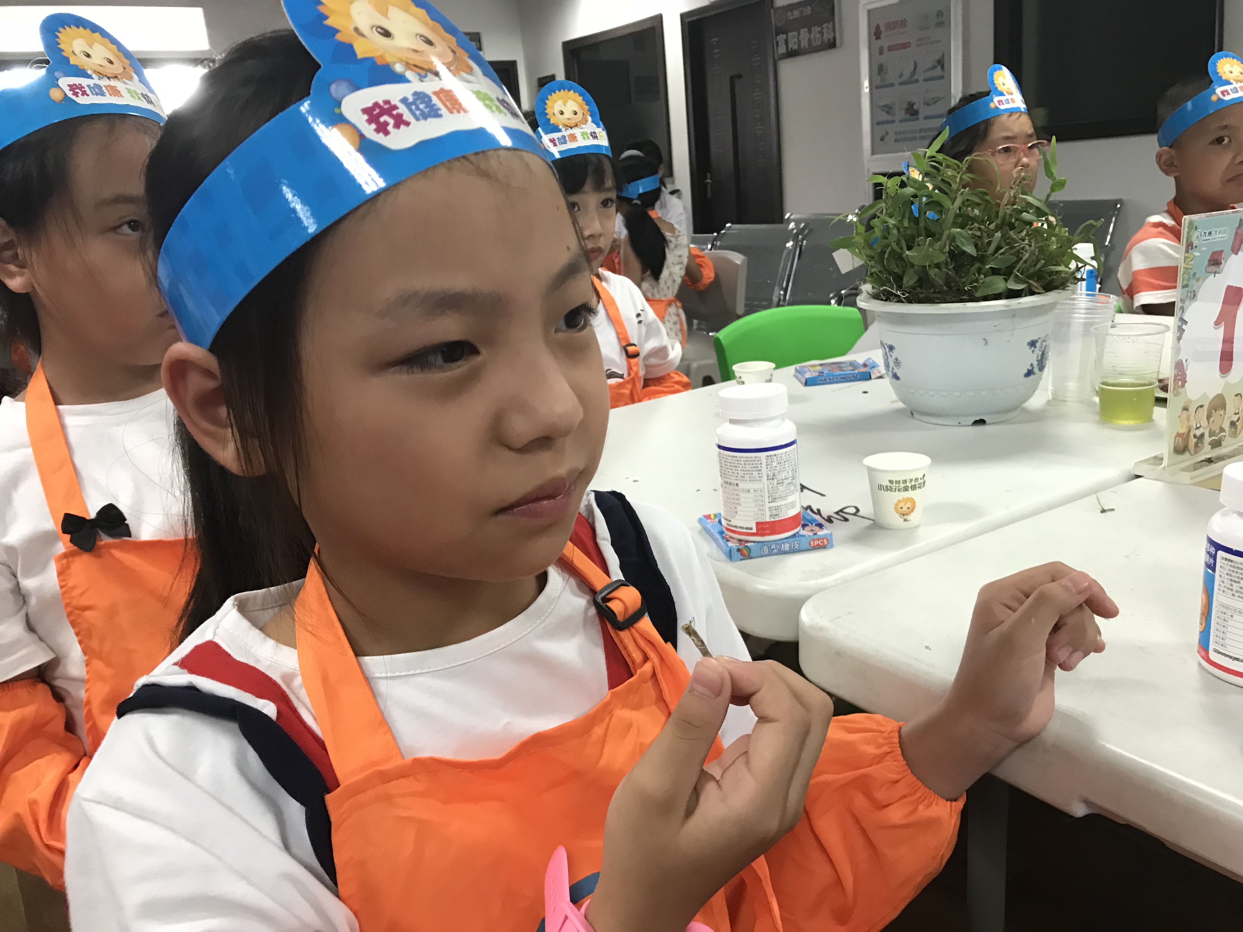 中华小药师夏令营第六课：认识神奇的仙草——石斛