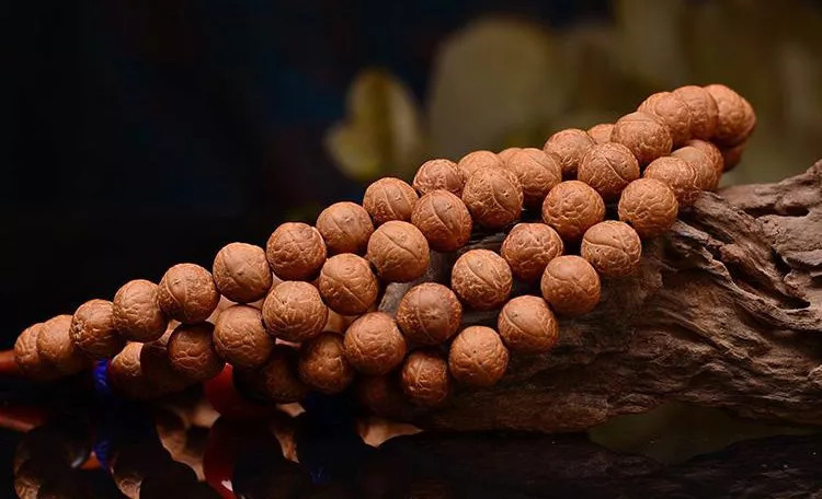 枣核凤眼菩提是菩提吗,麒麟眼菩提和凤眼菩提