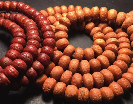 枣核凤眼菩提是菩提吗,麒麟眼菩提和凤眼菩提