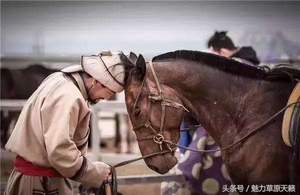 外国媒体报道蒙古国,国外报道蒙古族的视频