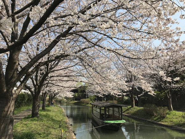 日食记2023,日食记1-7