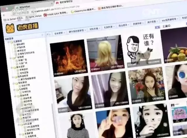 国务院严打低俗网络直播内容,国务院严打低俗网络直播