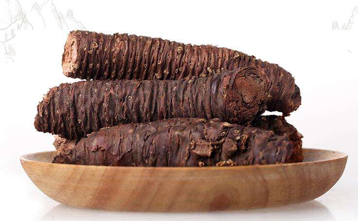 康熙王朝西药,康熙治病的特效药