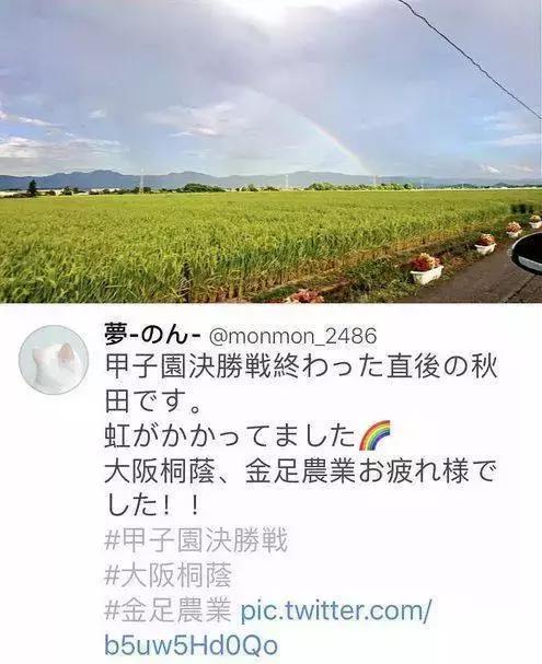 日本甲子园棒球比赛是什么水准,日本青少年棒球甲子园