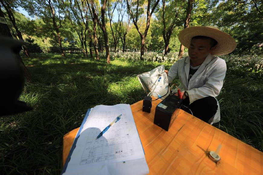 国槐、白蜡、“京草”……充满京味儿的北京“土著植物”基地长啥样