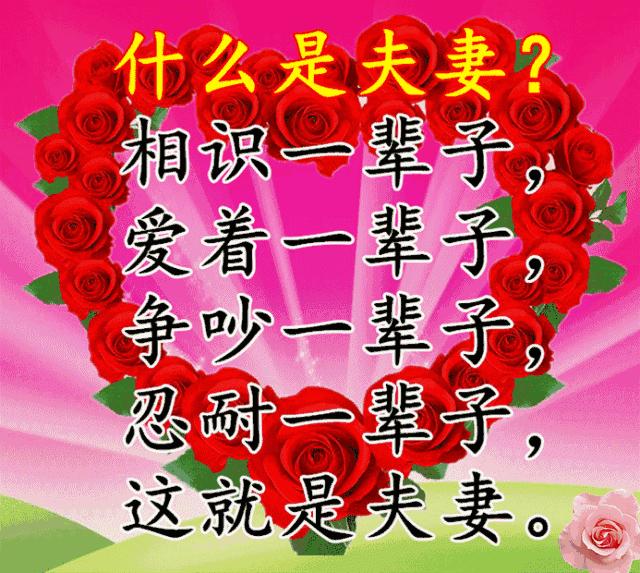 什么是真正的夫妻说的真好,什么才叫真正夫妻句子