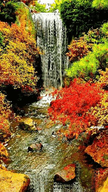 什么是真正的夫妻说的真好,什么才叫真正夫妻句子