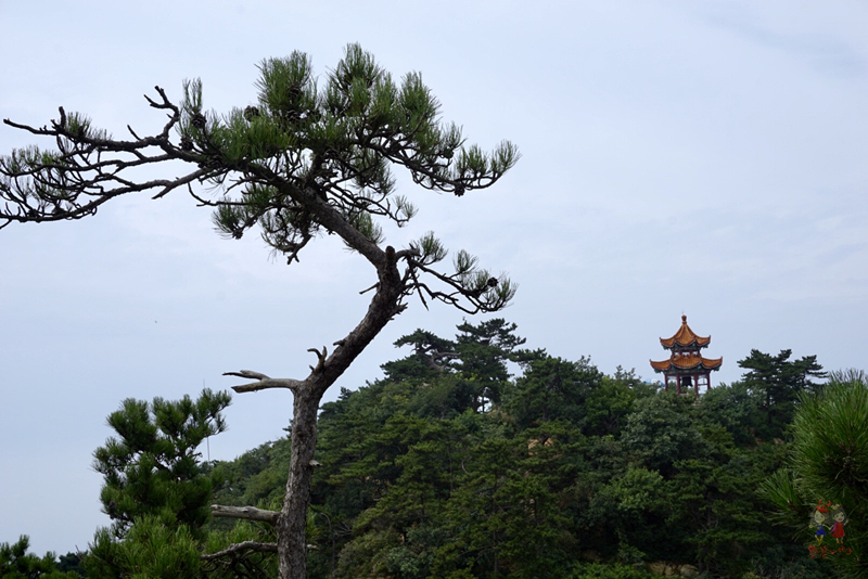 乾隆爬盘山不累吗,乾隆盘山的传说