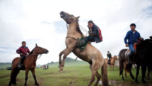 外国媒体列举蒙古人的14个实据