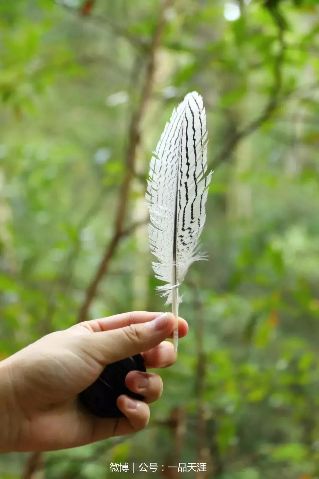 宋端宗、文天祥和红军都钟爱的明溪古村，我们有什么理由拒绝？