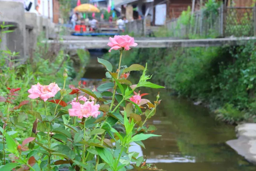 宋端宗、文天祥和红军都钟爱的明溪古村，我们有什么理由拒绝？