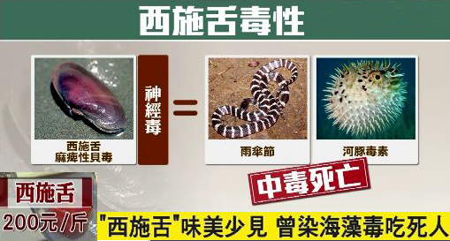 海边贝类种类,各种贝类的名称