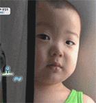 今年登革热会爆发吗,登革热高峰期要警惕