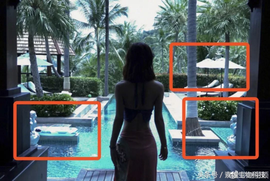 冯绍峰赵丽颖聊天,赵丽颖冯绍峰谈恋爱逛街