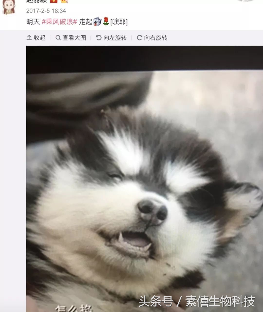 冯绍峰赵丽颖聊天,赵丽颖冯绍峰谈恋爱逛街