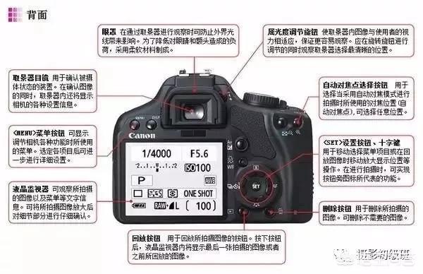 初学者单反相机入门教程,如何学习单反数码相机的简单操作
